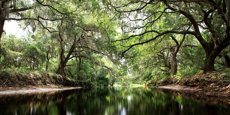 Blackwater Passage - Alligator Creek, Osceola, FL
