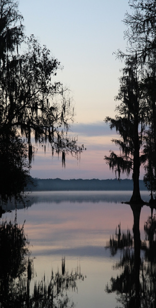 Serentity - Brick Lake, Osceola, FL