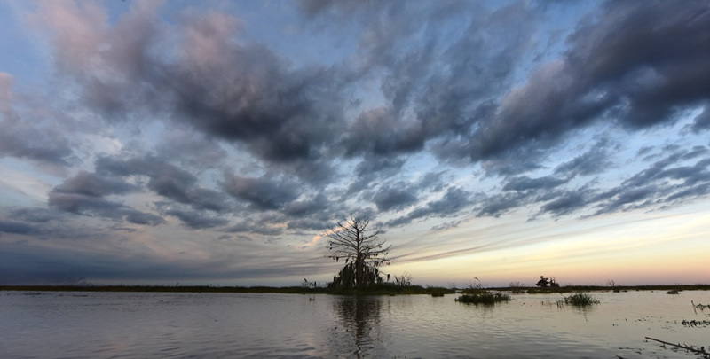Silent Cypress - Kissimmee River, Okeechobee, FL