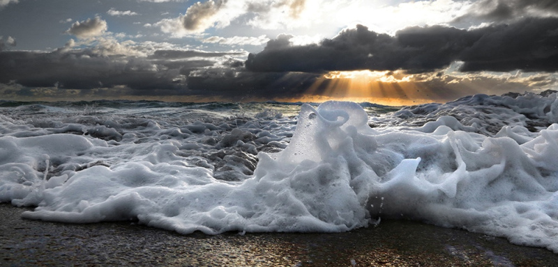 Sculpted by the Sea