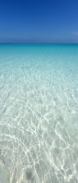 Crystal Clear - Great Guana Cay, Bahamas