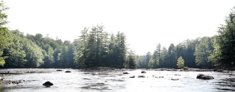Pine Island Panoramic