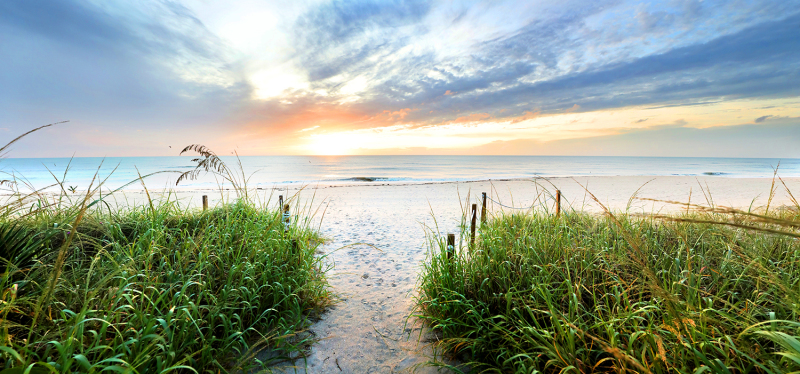 Sea Oat Sunrise - Palm Beach, FL