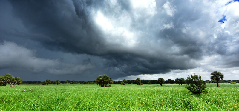 Stormfront