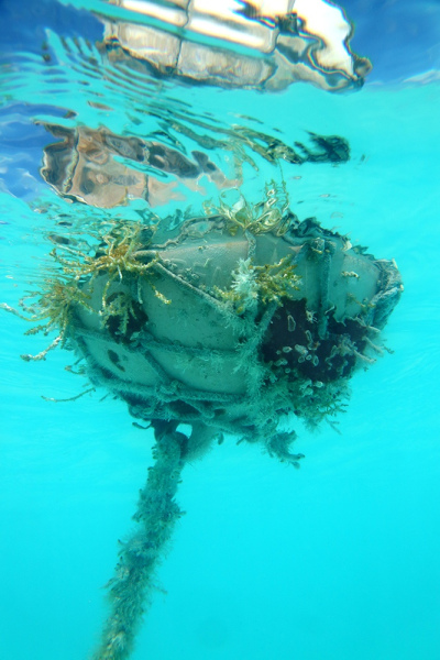 Bahamas Buoy - Treasure Island, Abacos