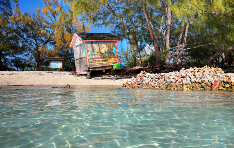 Conch Shack 2 Treasure Cay