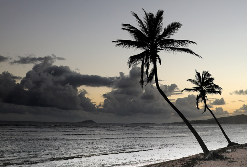 Island Palms - St. Croix, USVI