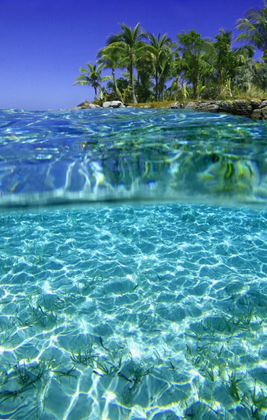 Palm Paradise - Abacos Islands, Bahamas