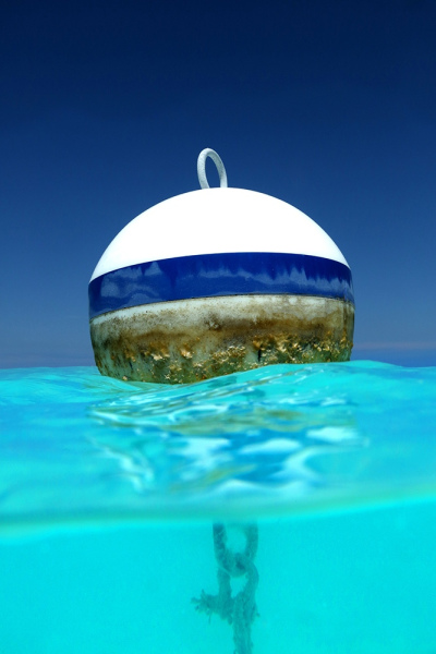 Blue Buoy - Treasure Island, Abacos