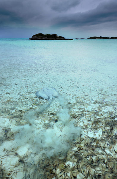 Sting Ray on the Run - Exuma Islands, Bahamas