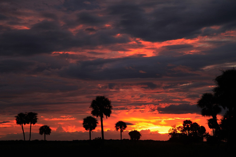 Fire in the Sky - Kissimmee River, Okeechobee, FL
