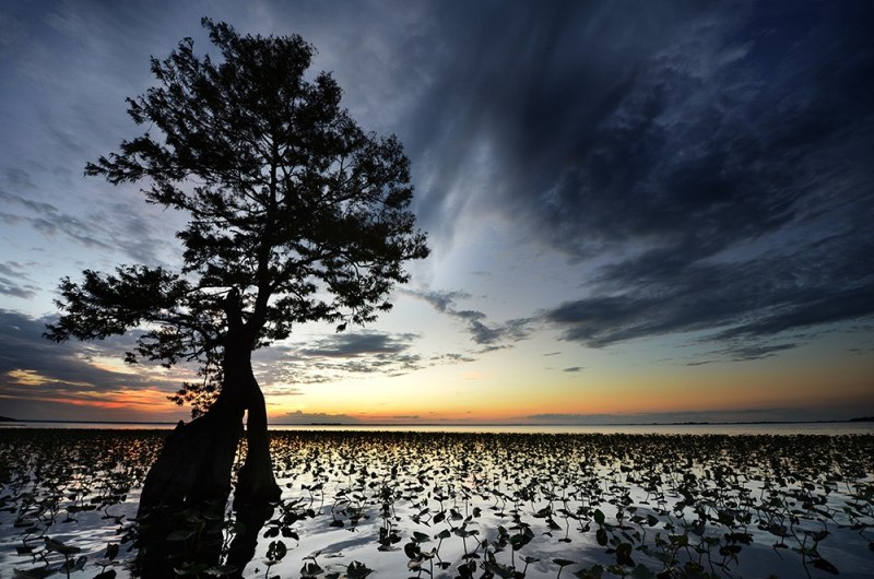 Lake Istokpoga Sunset 1 - Highlands, FL