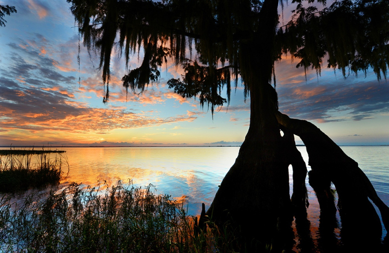 Lake Istokpoga Sunset 2 - Highlands, FL