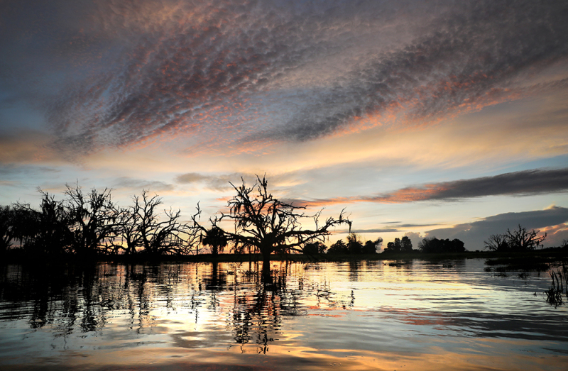 Pastel Reflections - Kissimmee River, Okeechobee, FL
