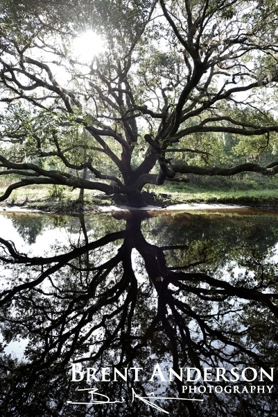 Oak Reflections - Arbuckle Creek, Highlands, FL