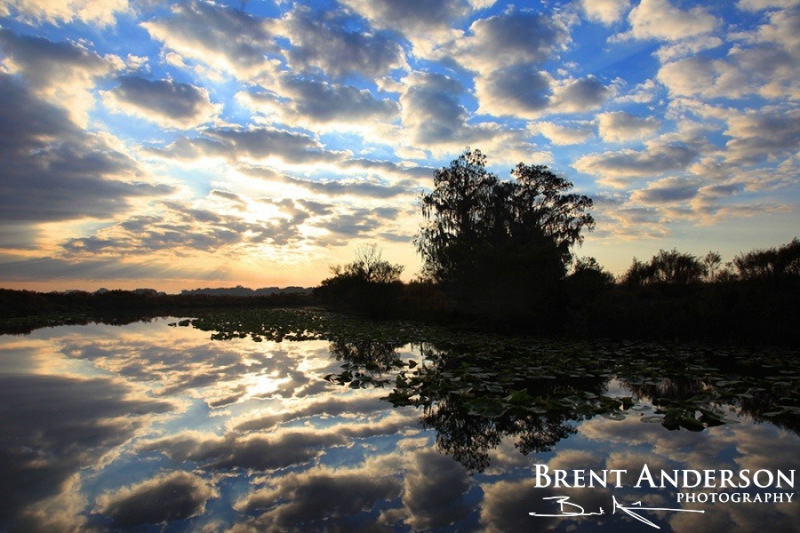 Mirrored Sunset - Kissimmee River, Okeechobee, FL