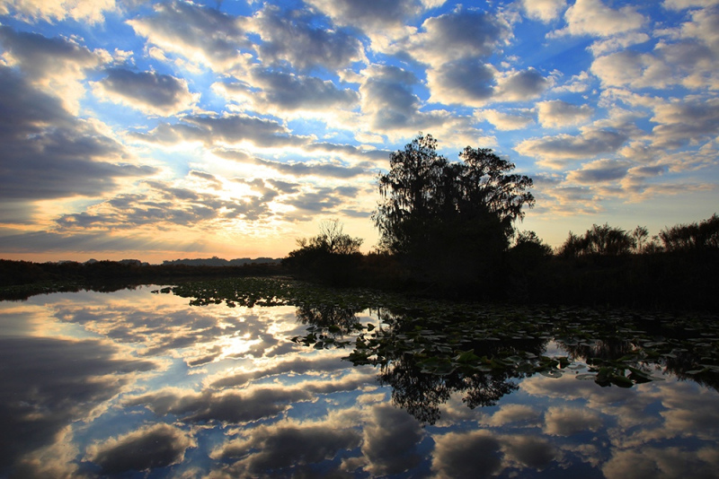 Mirrored Sunset - Kissimmee River, Okeechobee, FL
