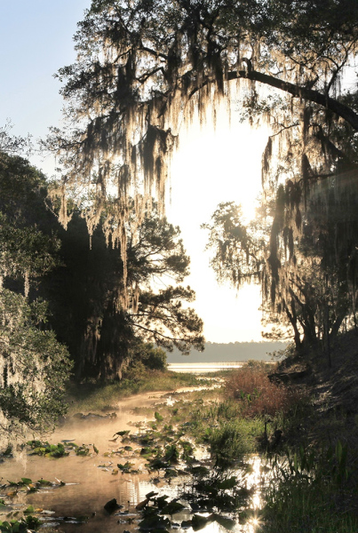 56.-Sunlit-Passage