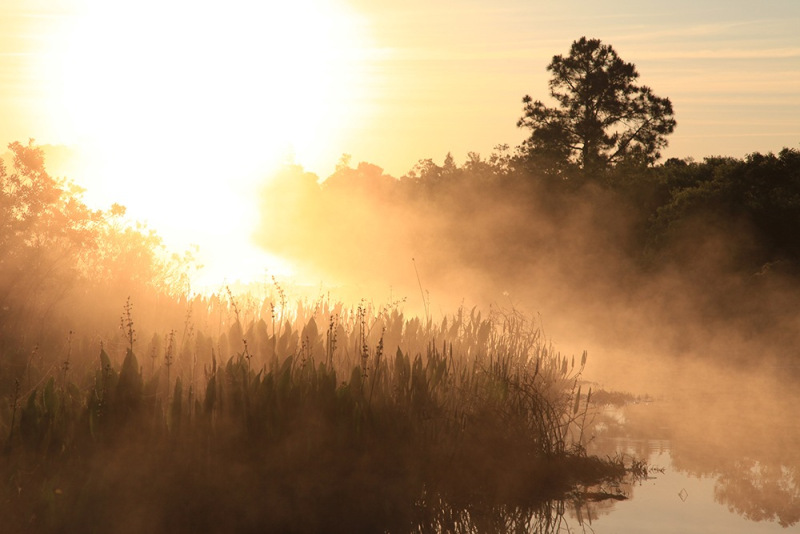 63.-Misty-Sunrise