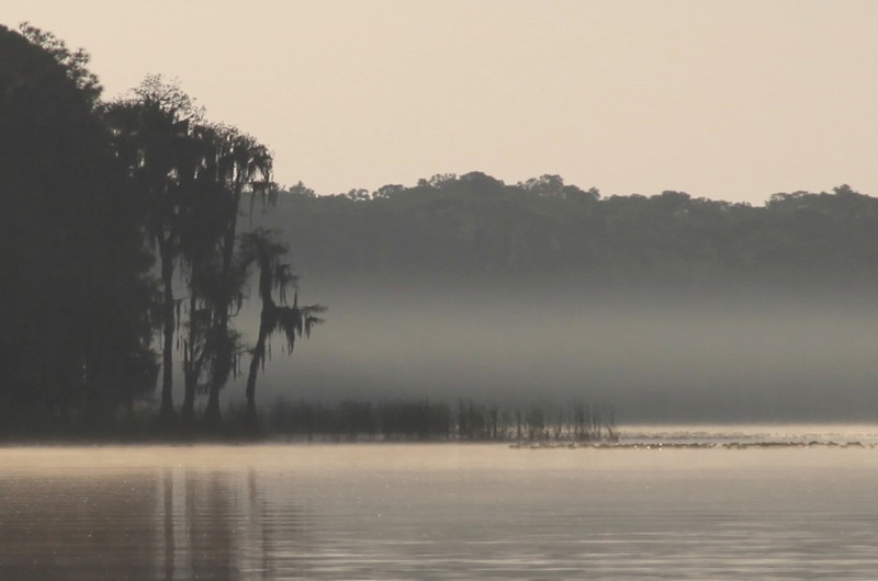 64.-Misty-Morning