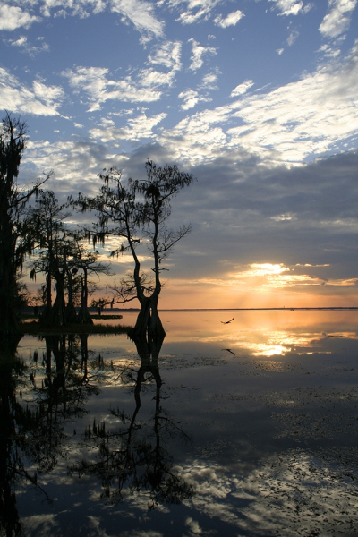 69.-Reflective-Flight