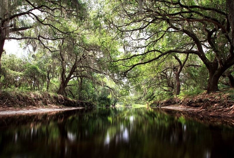Blackwater Passage - Alligator Creek, Osceola, FL