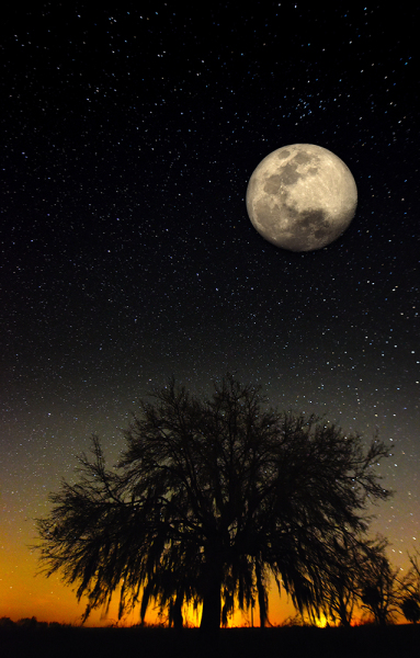 Kissimmee Moonrise - Okeechobee, FL