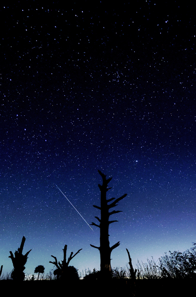 Kissimmee-Valley-Comet