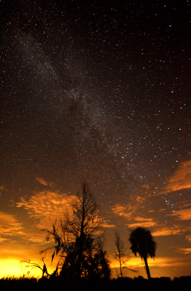 Midnight Milkyway - Okeechobee-FL