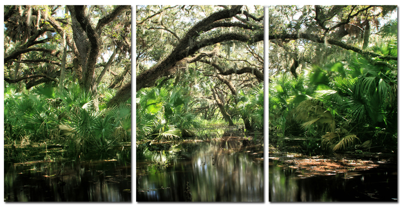 Flooded Forest