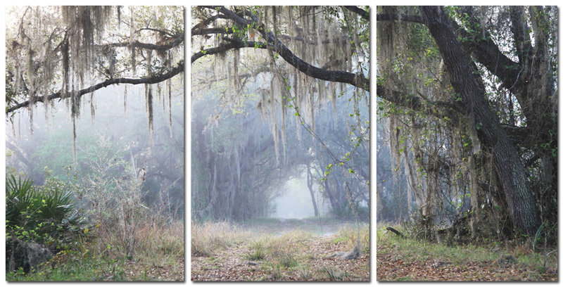 Mystic Path