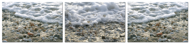 sea of shells