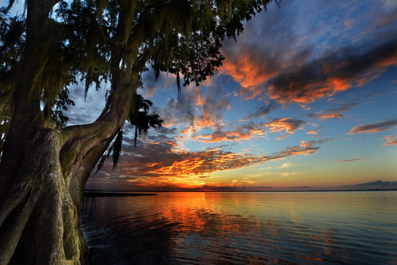 Northern Everglades Sunset