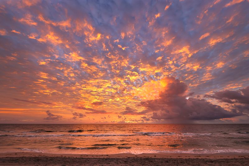 Casting Flames